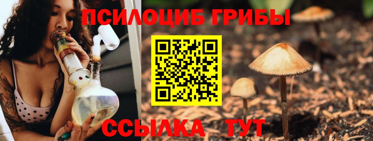 Галлюциногенные грибы мицелий  Вход с VPN  Мурино  Галлюциногенные грибы Cubensis 